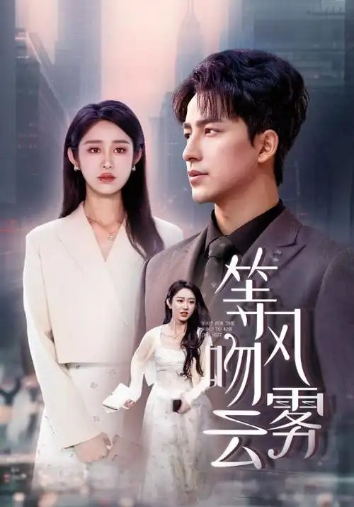 长夜回声 热播电视剧全集 手机免费在线观看